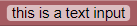 Text Input